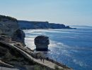 bonifacio d